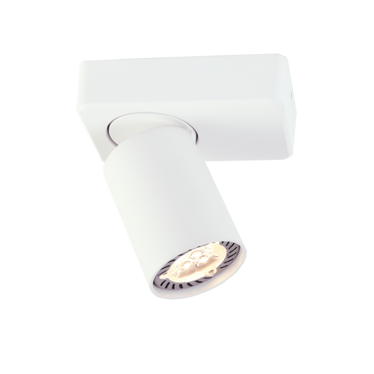 Спот ELITIS RA301S12WH - Aca Light