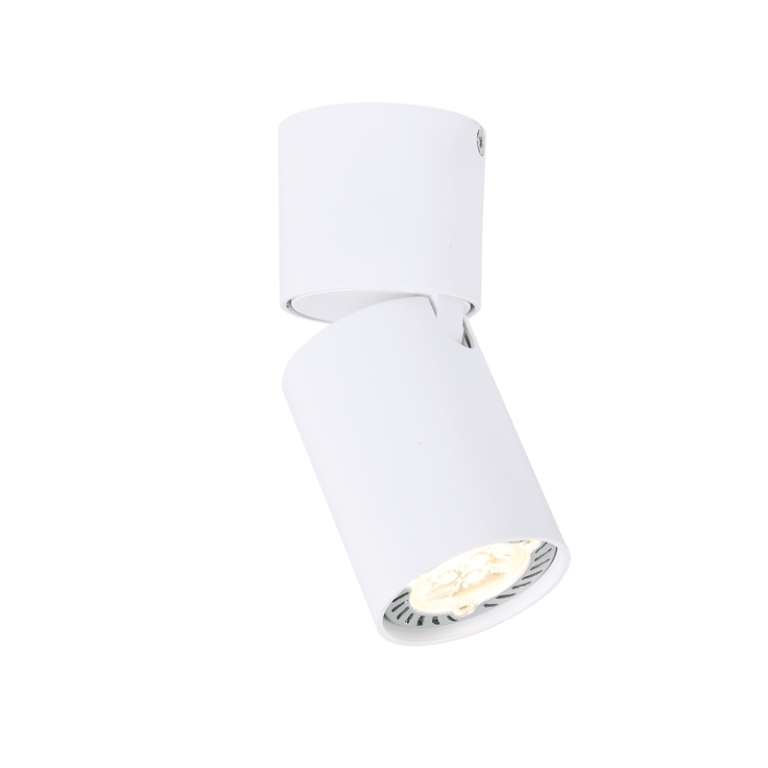 Спот ELITIS RA301S6WH - Aca Light