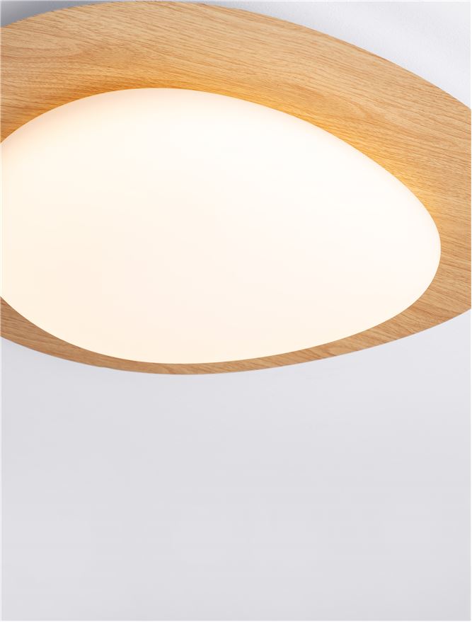 LED Плафон NIMBUS 9030648 - Nova Luce - Image 3
