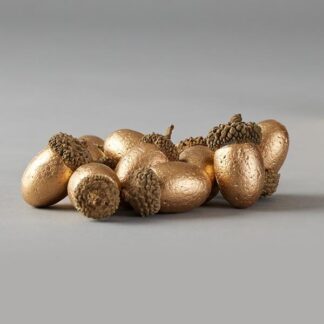 GOLD ACORNS IN PAPER BAG, SET 12PCS, 3.5cm 600-44438 - Eurolamp