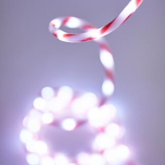 LED ROPE LIGHT WHITE & RED 5m, 3-WAY, WITH ADAPTOR, M/F & MEMORY, WHITE LED, LEAD WIRE 5m, IP44 600-23111 - Eurolamp