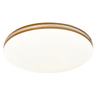 LED Плафон OSCAR2 71173 Rabalux