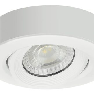 LED Downlight Surface/Built-In 5W CCT-SELECTABLE White 12009 Optonica
