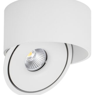 LED COB Downlight 20W ROUND ROTATABLE WHITE - BRIDGELUX 12022 Optonica