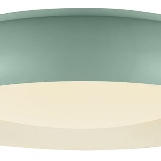 LED Ceiling Light 12W White/Cyan Body CCT 12810 Optonica